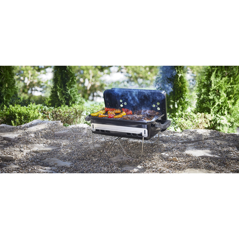 Weber Go-Anywhere Charcoal Grill & Reviews | Wayfair